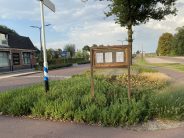 blog-3